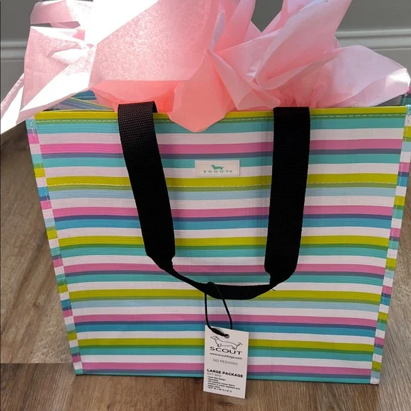 SCOUT Vibrant Striped NWT Large Package Gift Bag 13.5” W x 12” H x 6” D - Picture 14 of 16